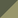 Cactus/Light Green