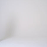 CAMERA CROSSBODY BAG IN STEPAN